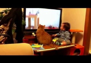 Bebekle Kedi Televizyon İzlerse!VİDEO