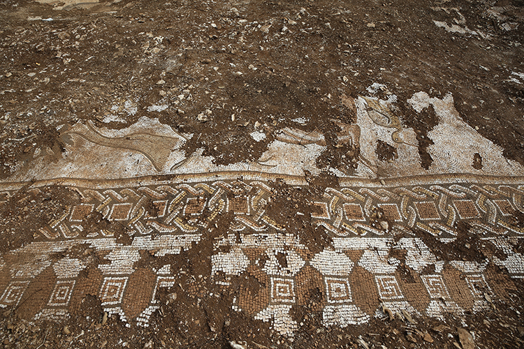 Mardin de deniz canlıları figürlü mozaikler bulundu