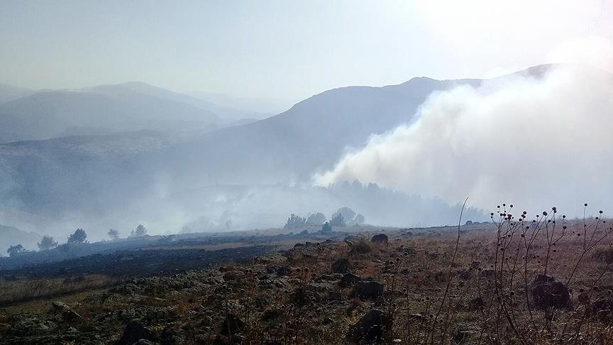 Erzurum da orman yangını