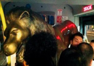 Taraftarlar Aslanı Sırtlayıp Metrobüsle Kaçırdı!