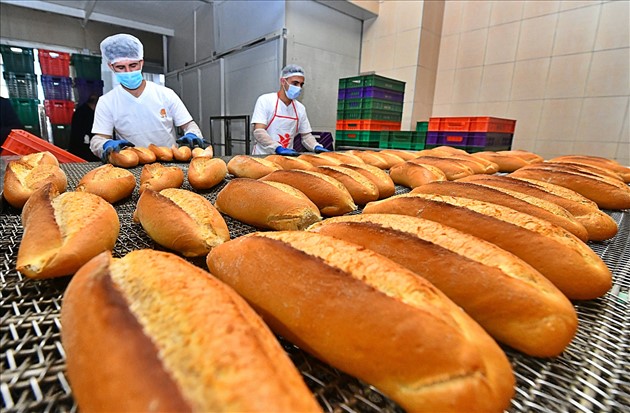 Türkiye de en ucuz ekmeğin satıldığı yer belli oldu!