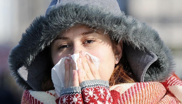 Grip salgını Yunanistan da 56 can aldı
