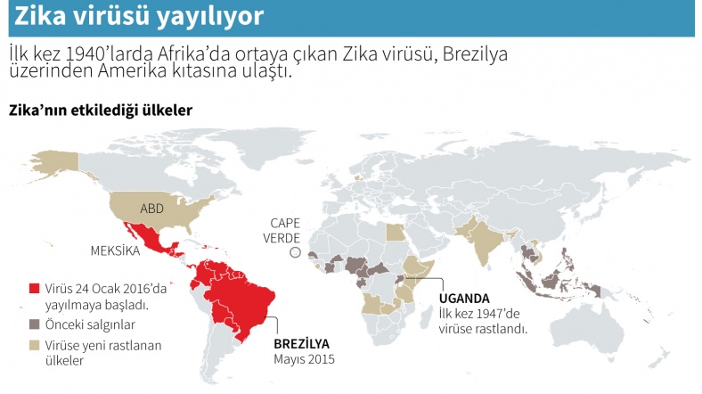 Zika virüsü Avrupa ya da yayılır mı?