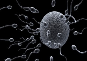 İşte Sperm Sayısını Artıracak Mucize Kür!!!
