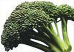Brokoli Kanser Düşmanı ÇIKTI
