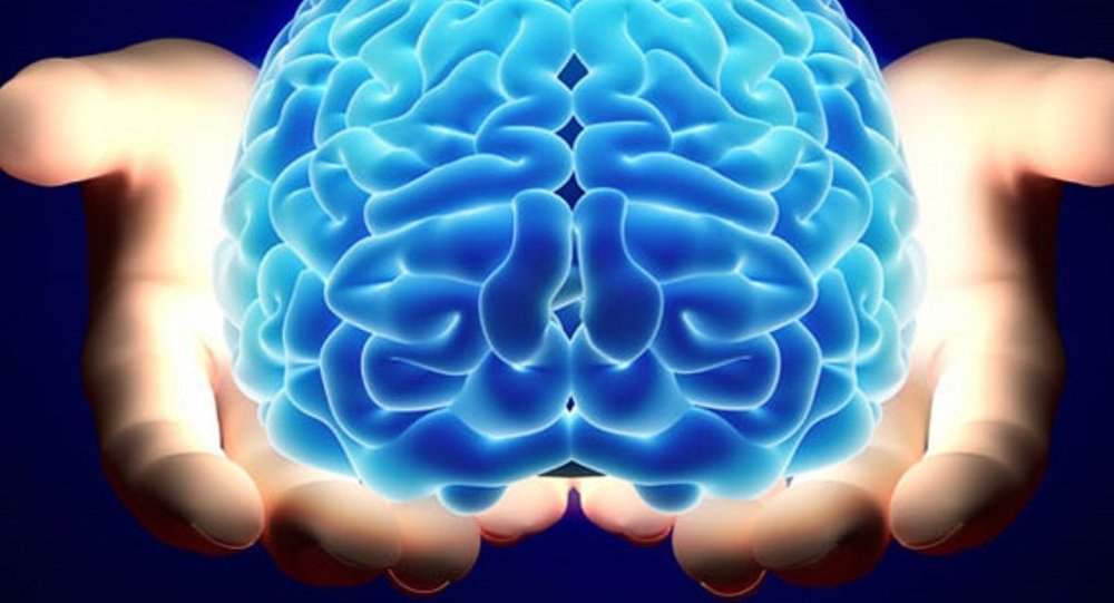 3D yazıcıyla 9 ay hayatta kalabilen mini beyinler üretildi