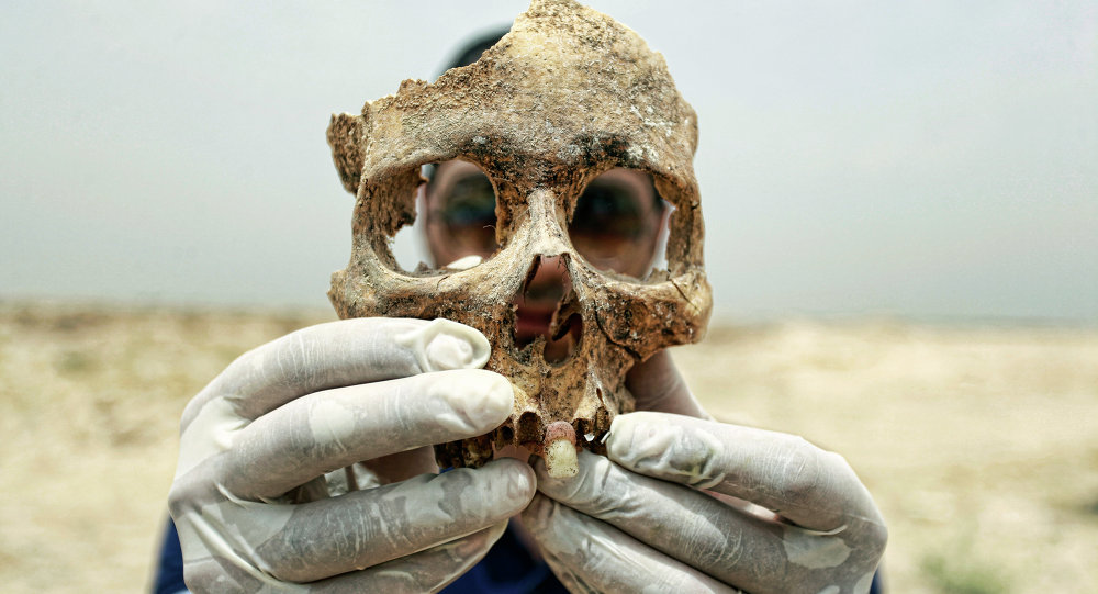  Filipinler de bulunan fosiller yeni bir insan türüne ait 