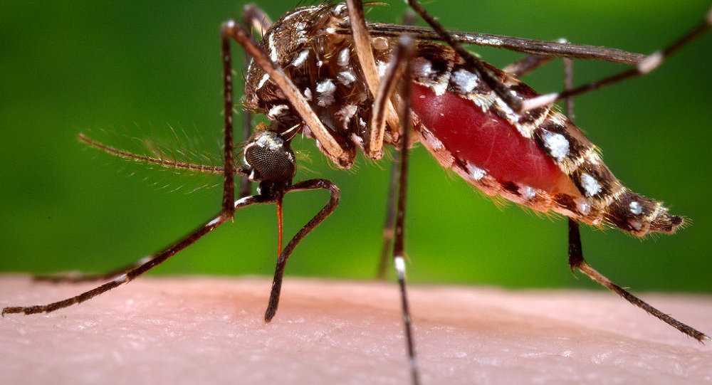 Sivrisineklere karşı askeri teknoloji