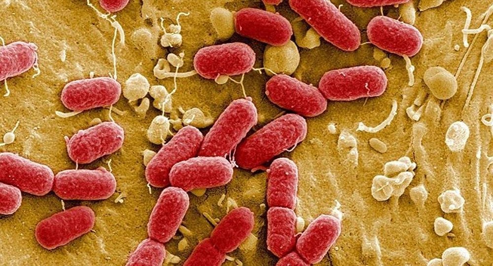  Bakteriden ölümler kanseri geçecek 