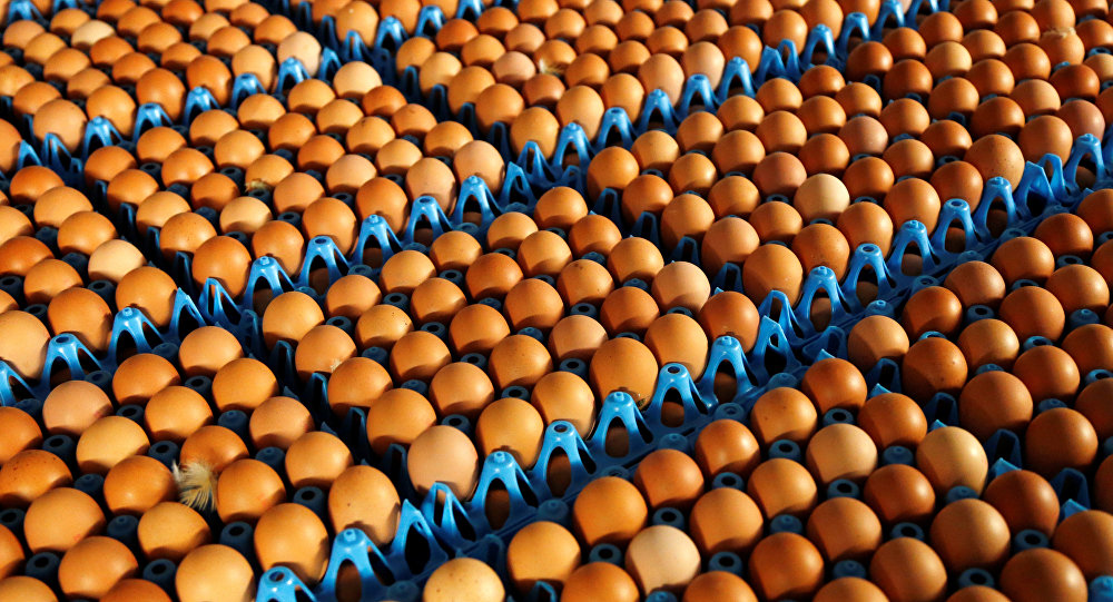 İran yumurta ihracatını durdurdu