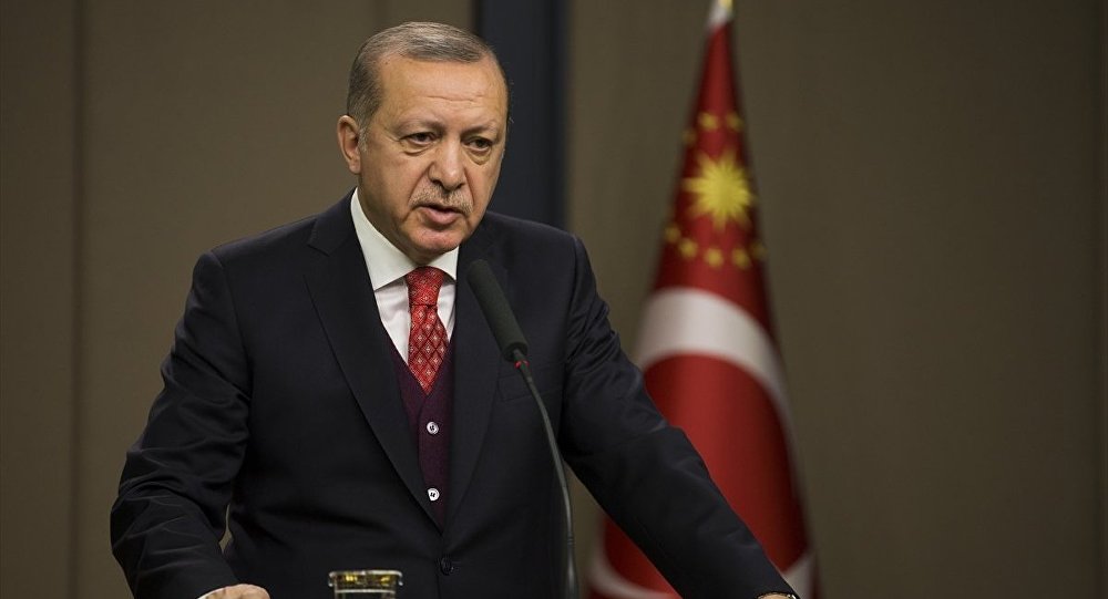 Erdoğan dan Afrin Harekatı na karşı çıkanlara sert eleştiri