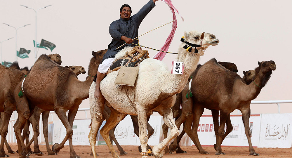 S. Arabistan çölünde 2 bin yıllık deve heykelleri keşfedildi