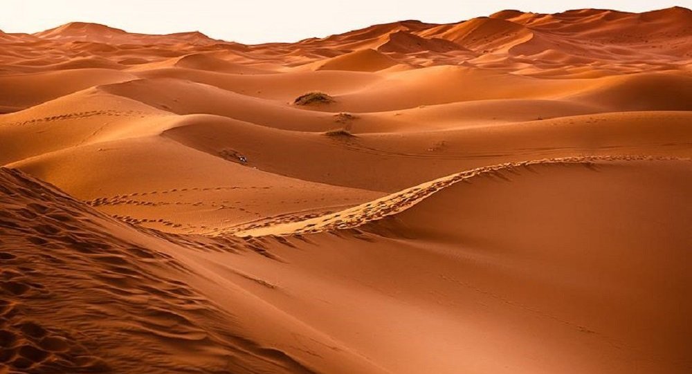S. Arabistan da 85 bin yıllık keşif