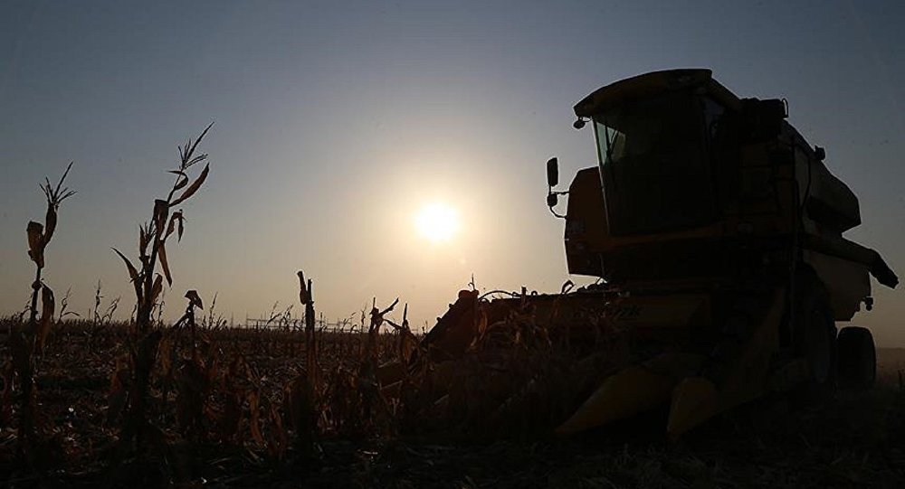 Türkiye tarım alanlarının yüzde 8,3’ünü kaybetti