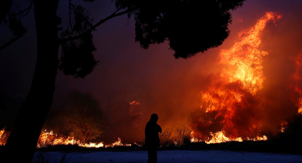 Yunanistan daki orman yangınlarında ölü sayısı 24 e yükseldi