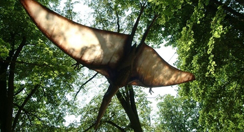 ABD de yeni bir uçan dinozor türü keşfedildi