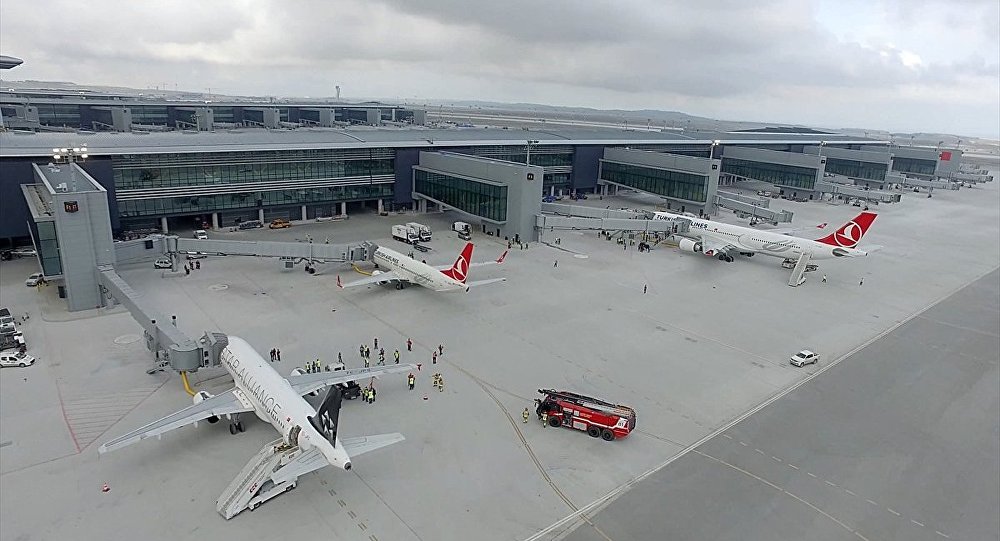 İstanbul Havalimanı nı arılar bastı