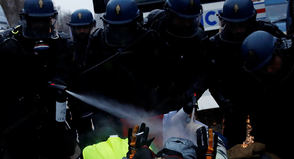 Fransız Bakan dan  polis şiddeti  itirafı