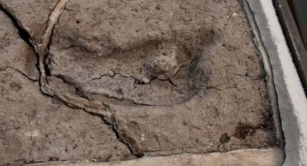 Amerika kıtasındaki en eski ayak izinin Şili de olduğu kanıtlandı