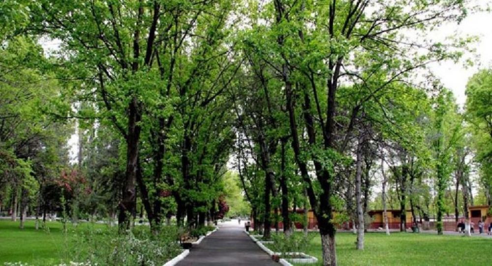 Atatürk Orman Çiftliği arazisinden Medipol e 555 bin metrekare arazi