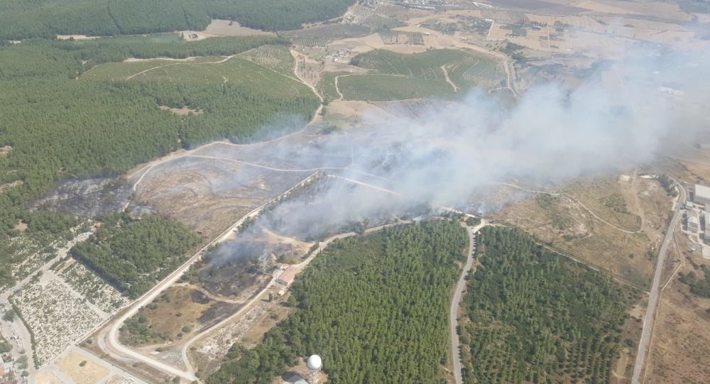 İzmir de bir orman yangını daha