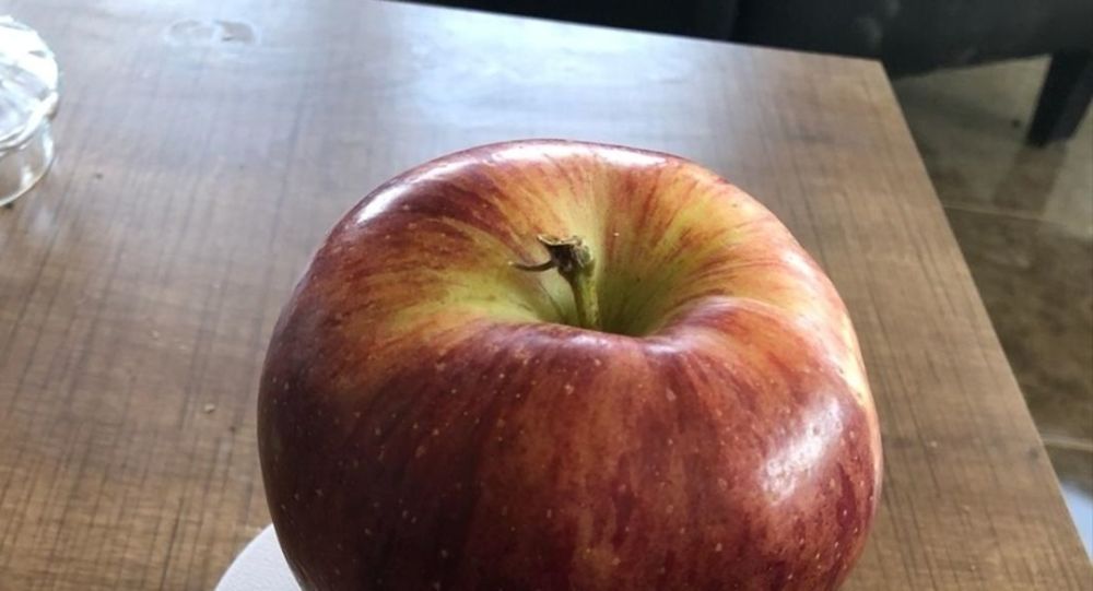 935 gramlık elma görenleri şaşırtıyor