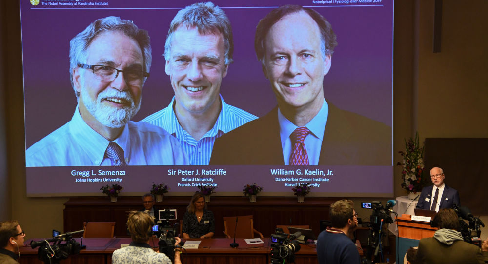 2019 Nobel Tıp Ödülü nün sahipleri belli oldu