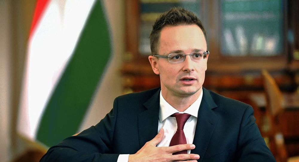 Macaristan dan güvenli bölge için Türkiye ile işbirliği açıklaması