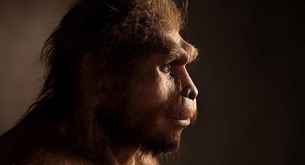 Modern insanın atası, 1.6 milyon yıl Endonezya da yaşayıp orada yok olmuş