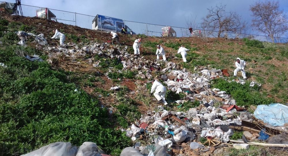 İstanbul Adalar da fayton temizliği: 25 ton atık