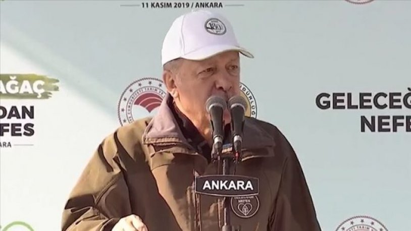 Erdoğan: Ağaçları anlat Cahit
