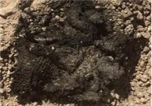 Denizli deki kazlarda bin 500 yıllık kumaş bulundu!