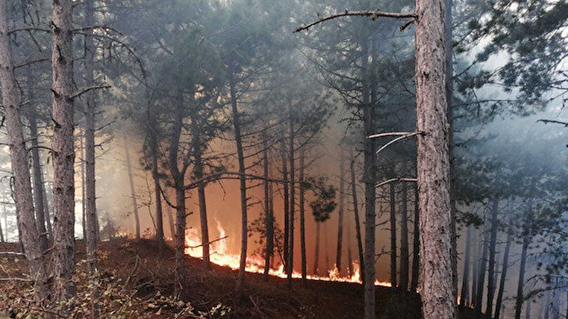 İzmir de orman yangını! Ekipler müdahale ediyor
