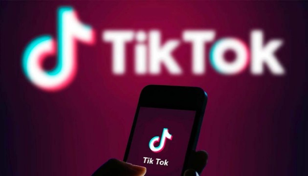 TikTok'un kârı yüzde 60 arttı