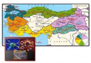 İşte Türkiye nin kanser haritası