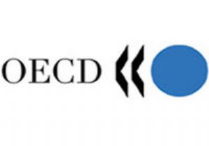 OECD den İç Karartan Türkiye Raporu: