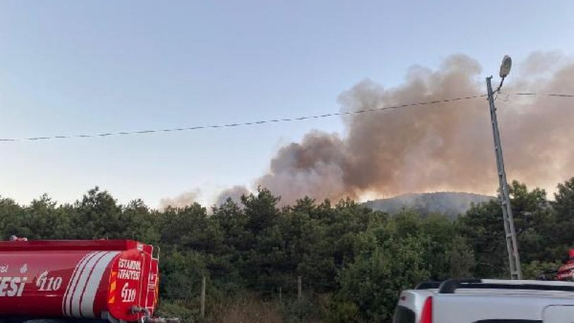 İstanbul da orman yangını