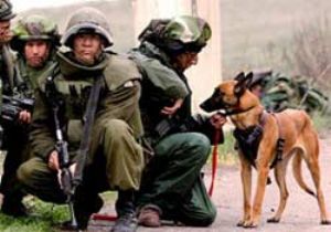 İsrail Köpekleri Böyle Eğitti: