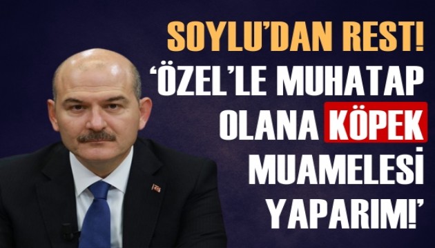 Sleyman Soylu'dan rest: zel'le muhatap olana kpek muamelesi yaparm!