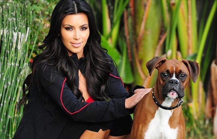 Kim Kardashian köpeğine de estetik yaptırdı!