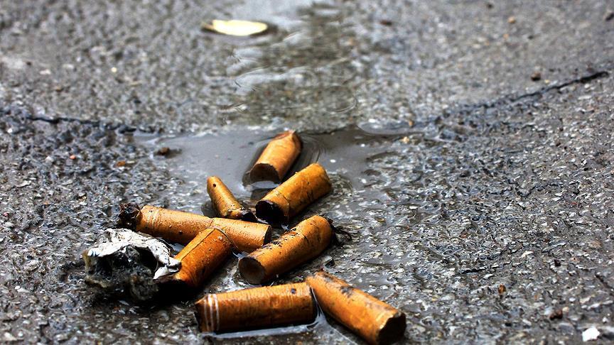 Çevre kirliliğinin en büyük nedeni: Sigara