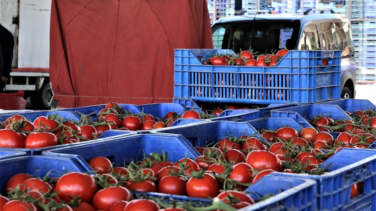 O görüntüler tepki çekmişti! İstanbul Ticaret İl Müdürlüğü’nden çöpe dökülen domateslere ilişkin açıklama