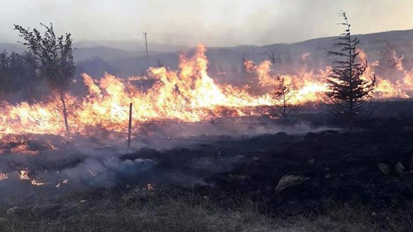 Afyonkarahisar’da orman yangını