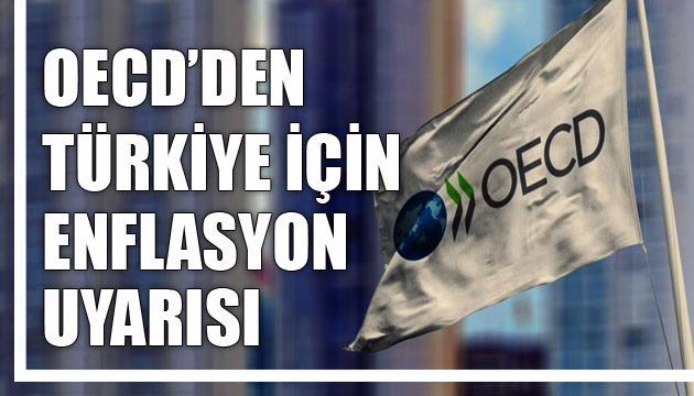 OECD den Türkiye için enflasyon uyarısı