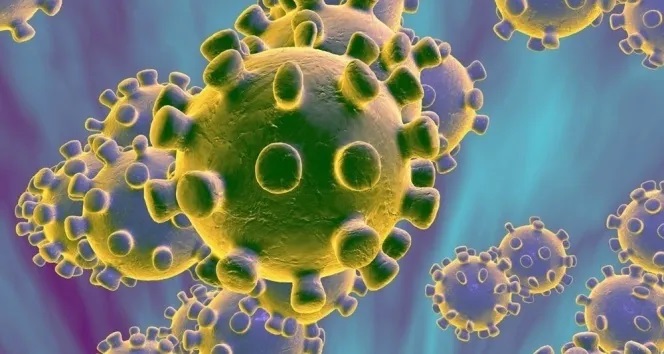 Bilim insanları tesadüfen keşfetti: Virüs sadece erkekleri öldürüyor