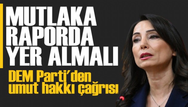 DEM Parti'den umut hakk� �a�r�s�: Mutlaka raporda yer almal�d�r
