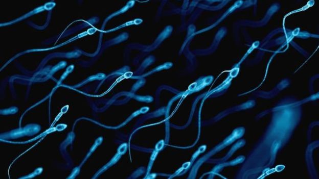 Düşük sperm sayısı sağlık sorunu mu?
