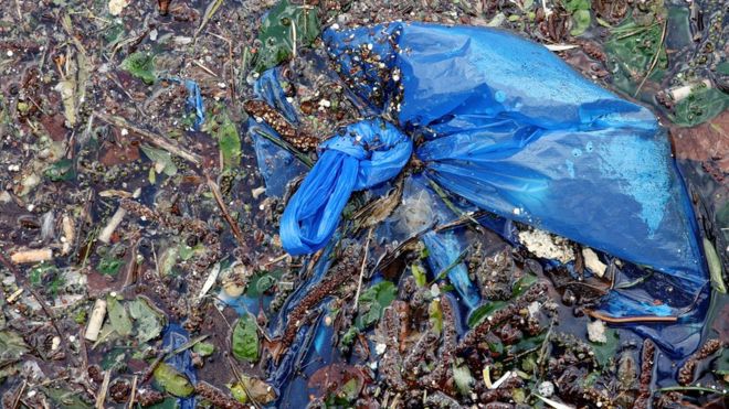BM: 50 ülke plastik kirliliğiyle mücadele ediyor