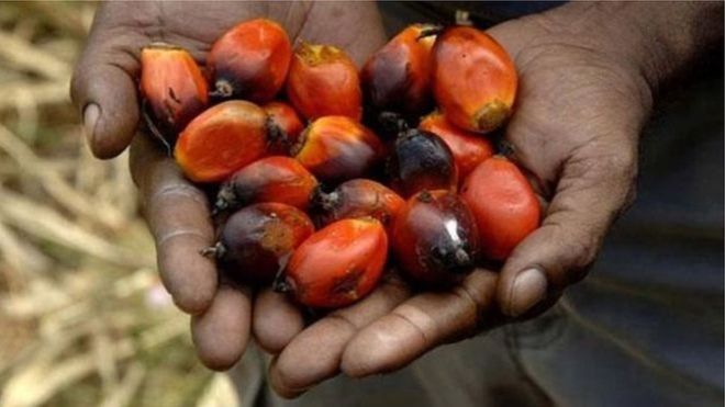Gıda ürünlerinde kullanılan palmiye yağı neden risk oluşturuyor?