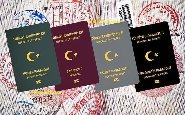 BAE den Türkiye ye vize yasağı
